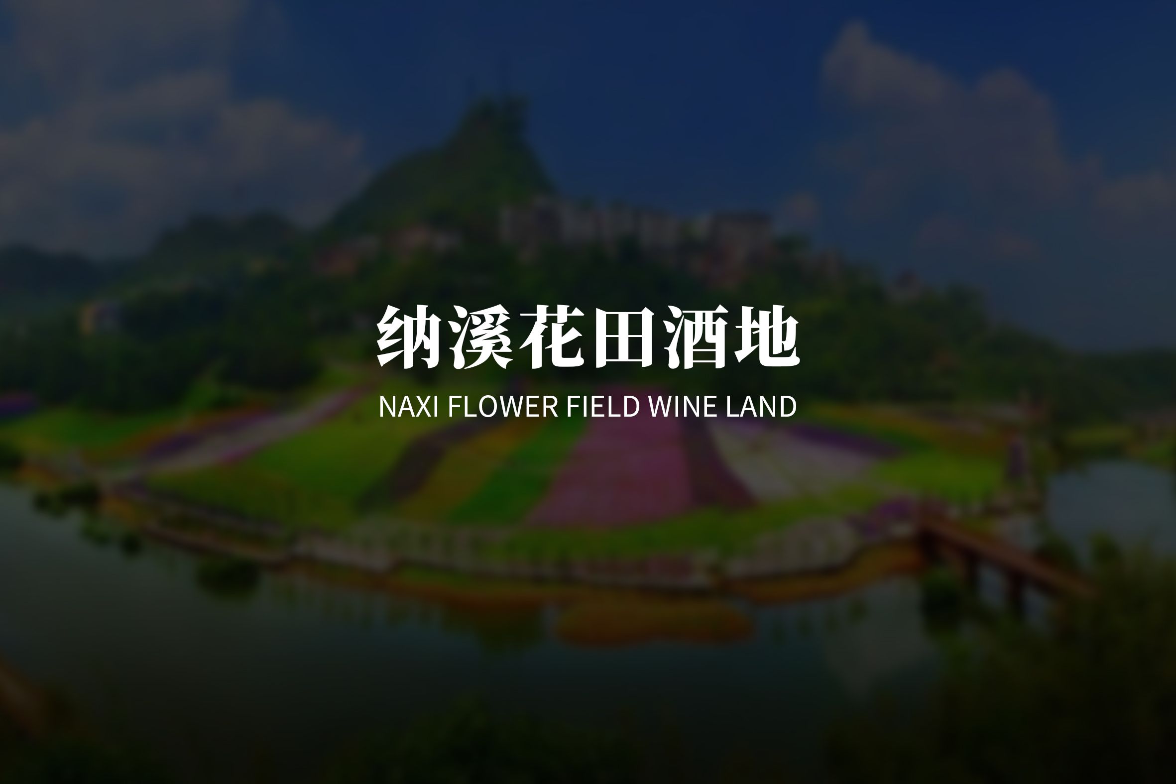 纳溪花田酒地